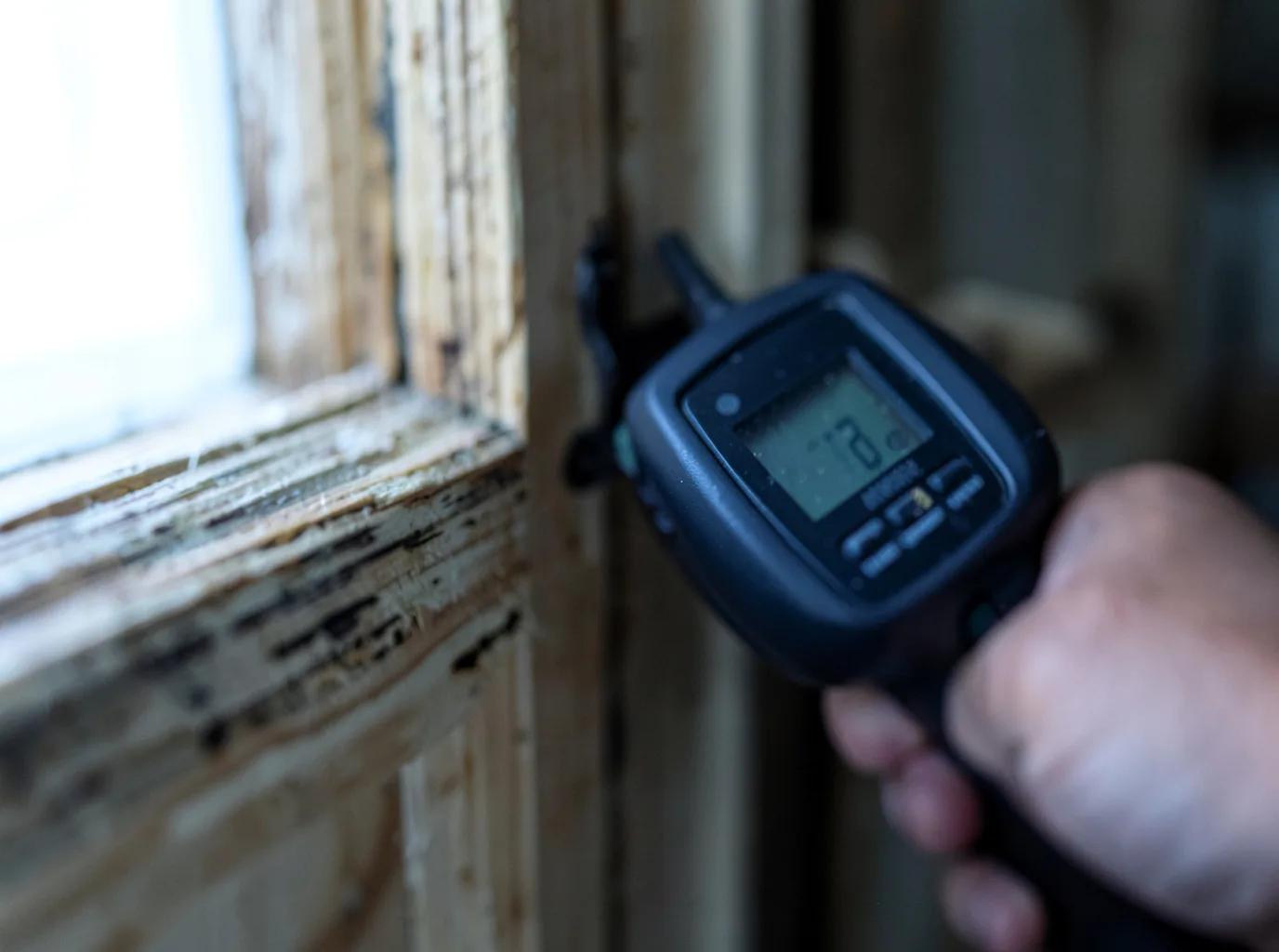 Moisture Inspection And Documentation in Golden City, MO